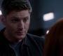 SPN_1782.jpg