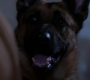SPN_0020.jpg