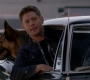 SPN_0995.jpg