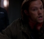 SPN_1373.jpg