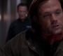 SPN_1375.jpg
