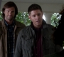 SPN_0246.jpg