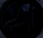 SPN_0070.jpg
