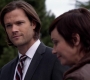 SPN_0219.jpg