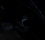 SPN_1354.jpg