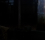 SPN_1367.jpg