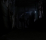 SPN_1382.jpg