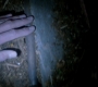 SPN_1390.jpg