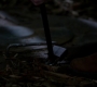 SPN_1414.jpg