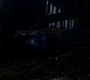 SPN_1424.jpg