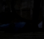 SPN_1545.jpg