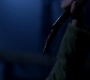 SPN_1569.jpg