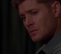 SPN_1733.jpg