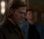 SPN_1517.jpg