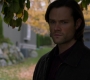 SPN_0687.jpg
