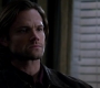 SPN_0766.jpg