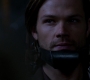 SPN_0936.jpg