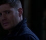 SPN_0958.jpg