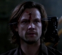 SPN_1137.jpg