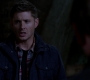 SPN_1186.jpg