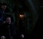 SPN_1225.jpg
