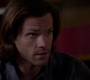 SPN_0335.jpg