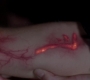 SPN_1513.jpg