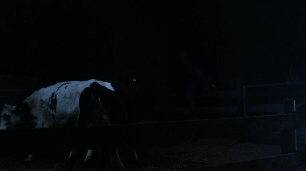 SPN_0006.jpg