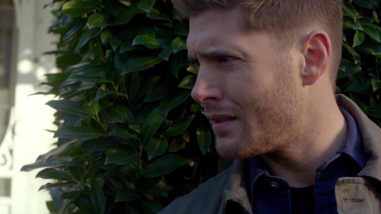 SPN_0519.jpg