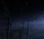 SPN_0003.jpg