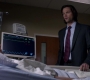 SPN_0055.jpg
