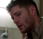 SPN_0204.jpg