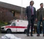 SPN_0247.jpg