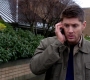SPN_0299.jpg