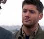 SPN_0317.jpg