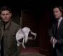SPN_0342.jpg