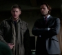 SPN_0417.jpg