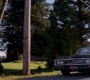 SPN_0487.jpg