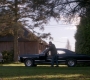 SPN_0494.jpg