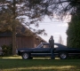 SPN_0495.jpg
