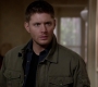 SPN_0549.jpg