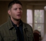 SPN_0596.jpg