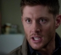 SPN_0784.jpg