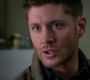 SPN_0803.jpg