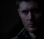 SPN_1084.jpg