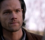 Filename=SPN_1536.jpg
Filesize=58KiB
Dimensions=1280x718
Date added=Sep 30, 2021 SPN_1536.jpg