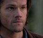 Filename=SPN_1540.jpg
Filesize=51KiB
Dimensions=1280x718
Date added=Sep 30, 2021 SPN_1540.jpg