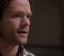 SPN_0143.jpg