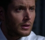 SPN_0377.jpg