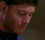 SPN_0951.jpg